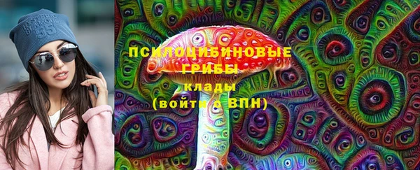 стаф Богданович