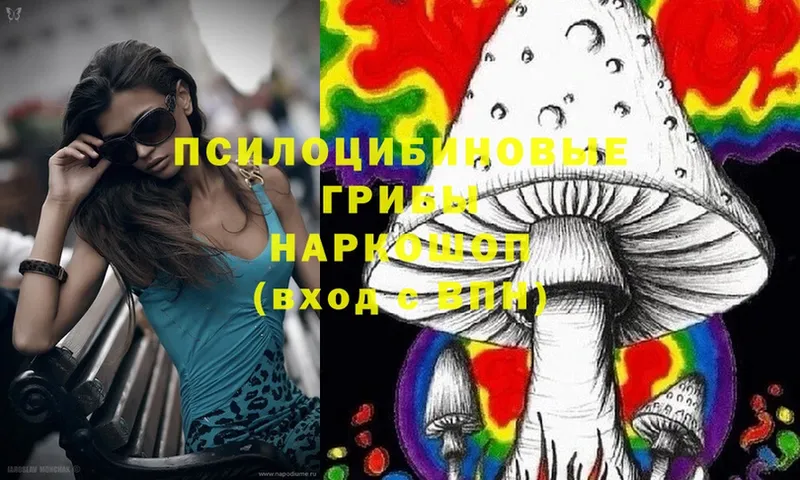 Псилоцибиновые грибы MAGIC MUSHROOMS  Новозыбков 